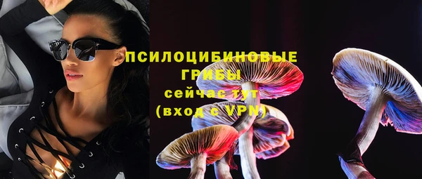 круглые Богданович