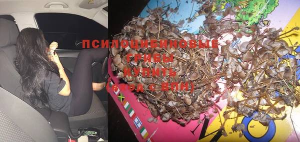 круглые Богданович