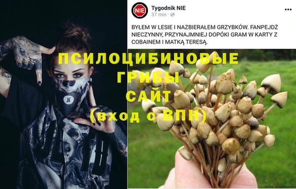 круглые Богданович