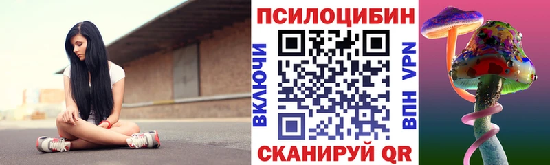 Псилоцибиновые грибы Psilocybe  Томск 